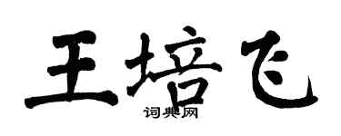 翁闓運王培飛楷書個性簽名怎么寫