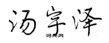 曾慶福湯宇澤行書個性簽名怎么寫