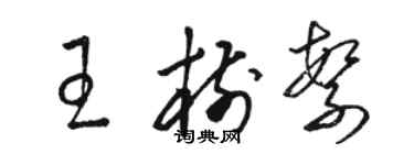 駱恆光王樹繁草書個性簽名怎么寫