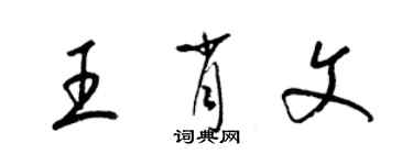 梁錦英王肖文草書個性簽名怎么寫