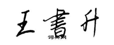 王正良王書升行書個性簽名怎么寫