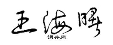 曾慶福王海曙草書個性簽名怎么寫