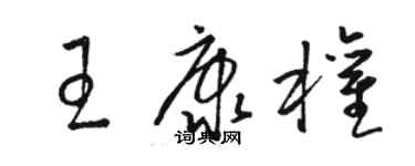 駱恆光王康權草書個性簽名怎么寫