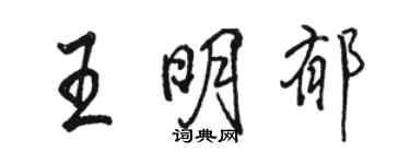 駱恆光王明郁行書個性簽名怎么寫