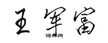 駱恆光王軍富行書個性簽名怎么寫