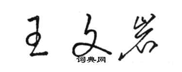 駱恆光王文岩草書個性簽名怎么寫