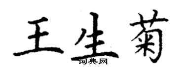 丁謙王生菊楷書個性簽名怎么寫