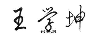 駱恆光王學坤行書個性簽名怎么寫