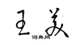 駱恆光王美草書個性簽名怎么寫