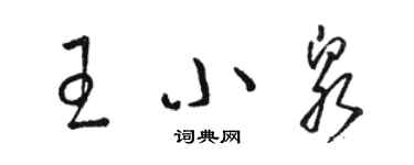 駱恆光王小泉草書個性簽名怎么寫