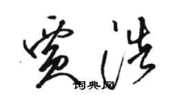 駱恆光賈浩草書個性簽名怎么寫