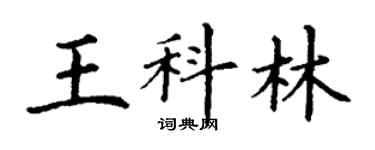 丁謙王科林楷書個性簽名怎么寫