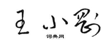 駱恆光王小剛草書個性簽名怎么寫