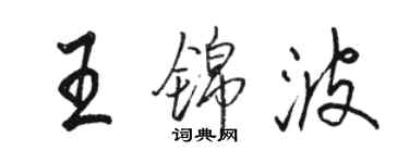 駱恆光王錦波行書個性簽名怎么寫