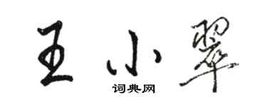 駱恆光王小翠行書個性簽名怎么寫