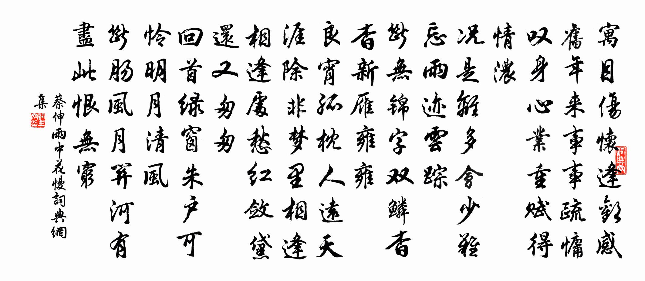 蔡伸雨中花慢書法作品欣賞