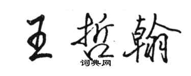 駱恆光王哲翰行書個性簽名怎么寫