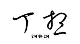 梁錦英丁想草書個性簽名怎么寫