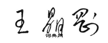 駱恆光王晶剛草書個性簽名怎么寫