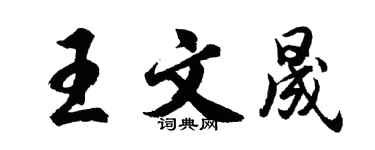 胡問遂王文晟行書個性簽名怎么寫