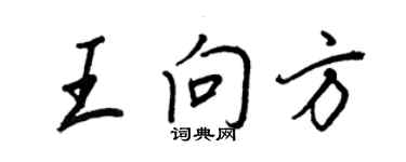 王正良王向方行書個性簽名怎么寫