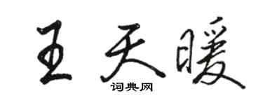 駱恆光王天暖行書個性簽名怎么寫