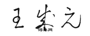 駱恆光王成元草書個性簽名怎么寫