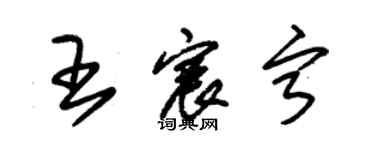 朱錫榮王宸寧草書個性簽名怎么寫