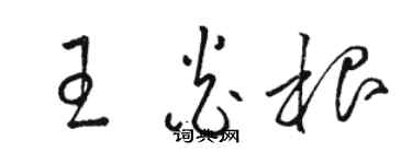 駱恆光王炎根草書個性簽名怎么寫