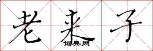 黃華生老來子楷書怎么寫