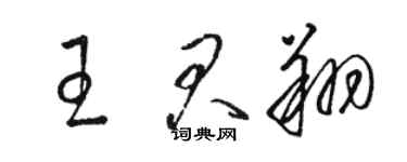 駱恆光王君翔草書個性簽名怎么寫