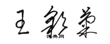 駱恆光王彩菊草書個性簽名怎么寫