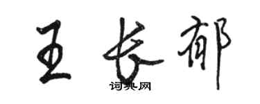 駱恆光王長郁行書個性簽名怎么寫
