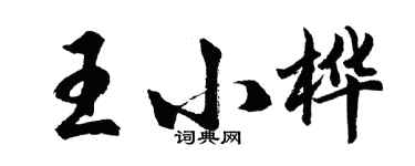 胡問遂王小樺行書個性簽名怎么寫