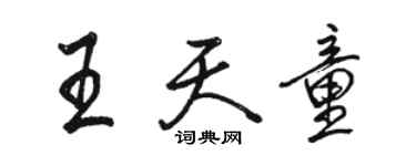 駱恆光王天童行書個性簽名怎么寫