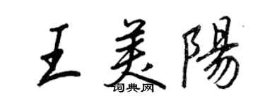 王正良王美陽行書個性簽名怎么寫
