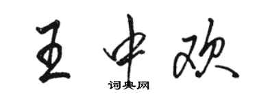 駱恆光王中歡行書個性簽名怎么寫