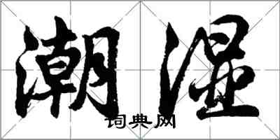 胡問遂潮濕行書怎么寫