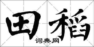 翁闓運田稻楷書怎么寫