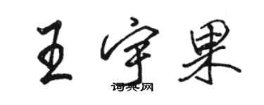駱恆光王宇果行書個性簽名怎么寫