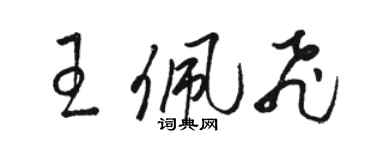 駱恆光王佩飛草書個性簽名怎么寫