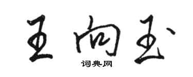 駱恆光王向玉行書個性簽名怎么寫