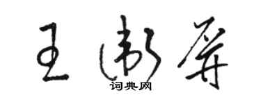駱恆光王衛屏草書個性簽名怎么寫