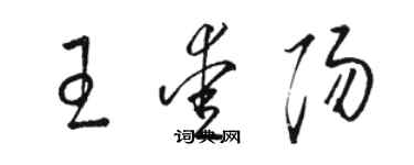 駱恆光王愛陽草書個性簽名怎么寫