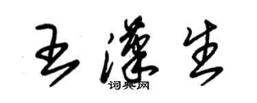 朱錫榮王漢生草書個性簽名怎么寫