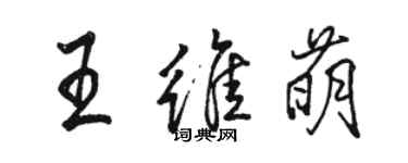 駱恆光王維萌行書個性簽名怎么寫