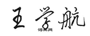 駱恆光王學航行書個性簽名怎么寫