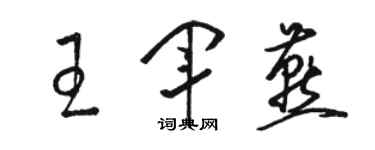 駱恆光王軍燕草書個性簽名怎么寫