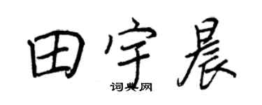 王正良田宇晨行書個性簽名怎么寫