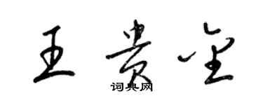 梁錦英王貴金草書個性簽名怎么寫